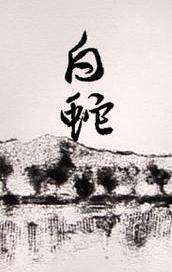 白蛇 封面