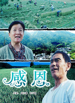 感恩 封面