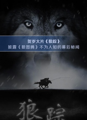 狼踪 封面