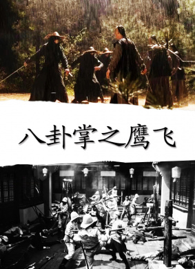 八卦掌之鹰飞 封面