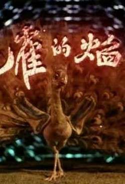 孔雀的焰火 封面