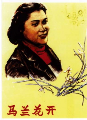 马兰花开Malan Flower Blooms 封面