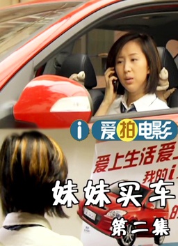 妹妹买车2 封面