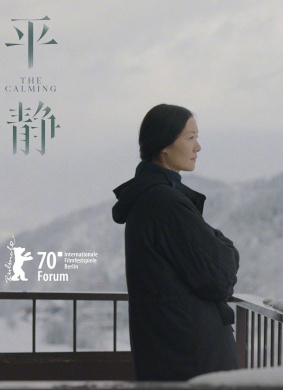 平静The Calming 封面