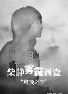 穹顶之下穹顶之下：柴静雾霾调查 封面