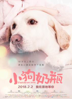 小狗奶瓶Find my way home 封面