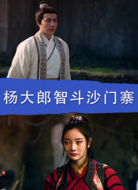 杨大郎智斗沙门寨 封面