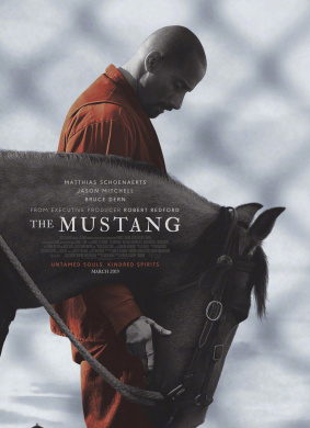 野马Mustang 封面