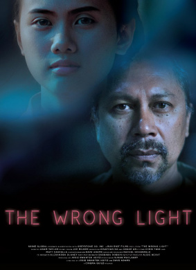 错误的光The Wrong Light 封面