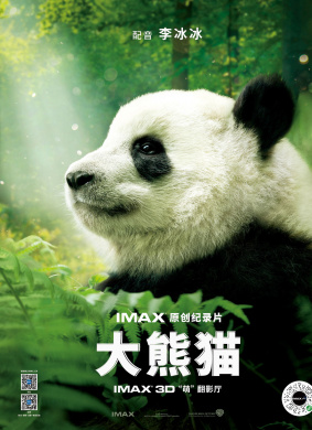 大熊猫Pandas 封面