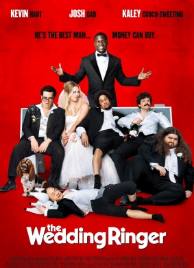 定制伴郎The Wedding Ringer 封面
