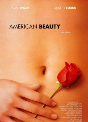 美国丽人 译制版American Beauty 封面