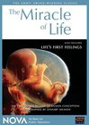Odyssey of Life 封面