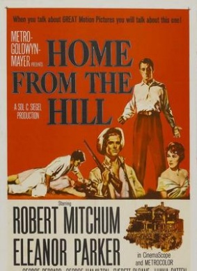 情乱萧山Home from the Hill 封面