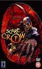 Scarecrow Gone Wild 封面