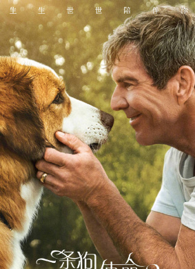 一条狗的使命2A Dog's Journey 封面