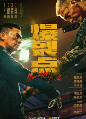 爆裂点 家庭剧情,动作,悬疑,犯罪电影封面