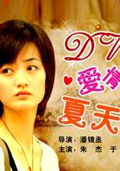 DV·爱情·夏天 封面