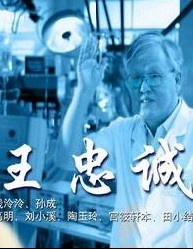 王忠诚 封面