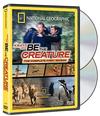 Be the Creature 封面