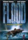 Flood: A River's Rampage 封面