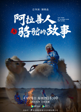阿拉善人与骆驼的故事 封面