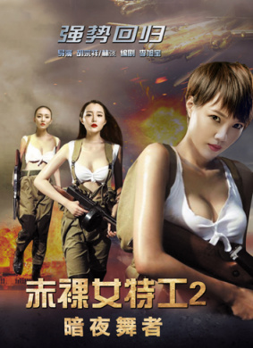 赤裸女特工II暗夜舞者 封面