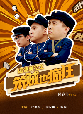 盗爱时空之笨贼也疯狂 封面
