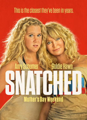 母女大战Snatched 喜剧,动作电影封面