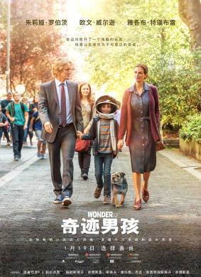 奇迹男孩Wonder 封面