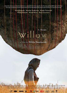 柳树Willow 封面