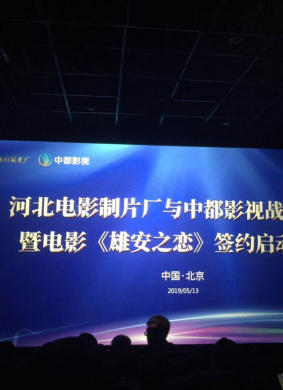 雄安之恋 封面